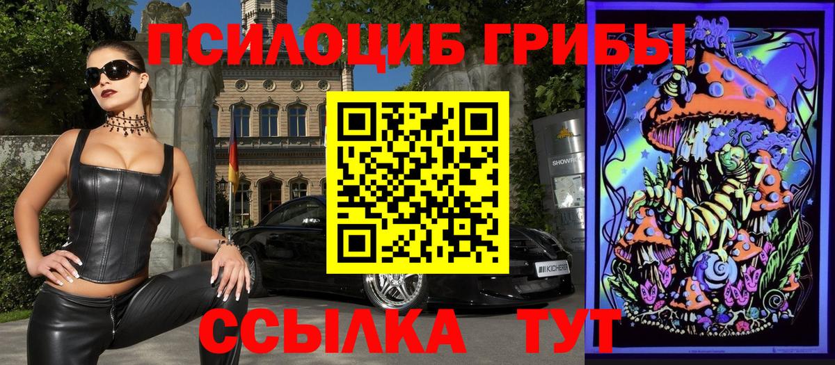 Псилоцибиновые грибы MAGIC MUSHROOMS Зеленогорск
